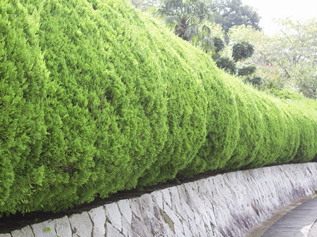 植込・生垣